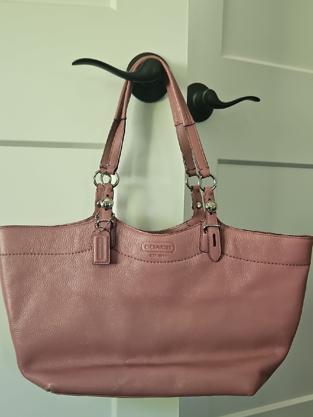 Coach Carly Large Leather Tote